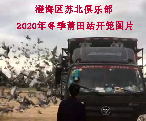 κ^(q)K㘷(l)2020궬վ_\