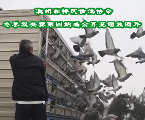 ^(q)f(xi)20궬pPِվ_\rg˾ňDƬ