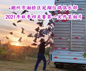 ^(q)㘷(l)2021＾P(gun)ِһP(gun)_\Ƭ