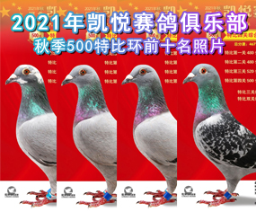 2021Pِ㘷(l)500رȭh(hun)ǰʮƬ