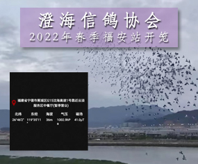 κf(xi)22괺վ_\֪ͨ