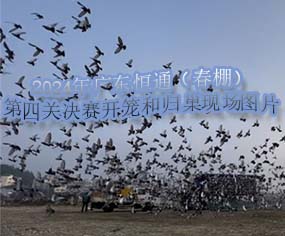2024V|ͨP(gun)Qِ_(ki)\͚wF(xin)(chng)DƬ