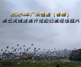 2024V|ͨP(gun)(zhn)ِ_(ki)\͚wF(xin)(chng)DƬ