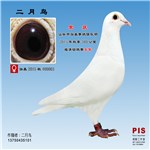 頭像