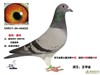 ټՄ֮ʿ(zhun)vٲA(y)ί